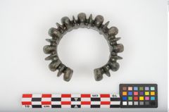 Foto von Bronzebuckelarmreif (NHMW-PRAE-025887)